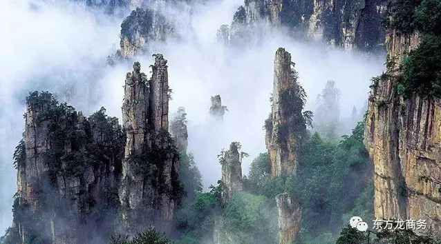 東方龍商務(wù)與張家界經(jīng)濟開發(fā)區(qū)達成委托招商引資合作，助力打造生態(tài)工業(yè)新城