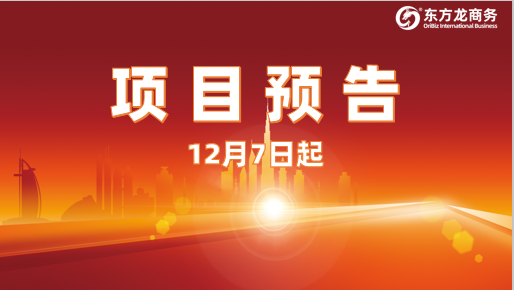 狠抓投資選址項(xiàng)目促實(shí)效！12月7日起，21家優(yōu)質(zhì)企業(yè)精準(zhǔn)對(duì)接全國(guó)政府園區(qū)