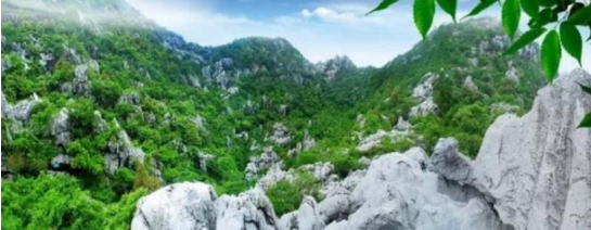 政府委托招商合作丨全力助推浙江衢州常山縣傳統(tǒng)產(chǎn)業(yè)加快升級，新興產(chǎn)業(yè)異軍突起