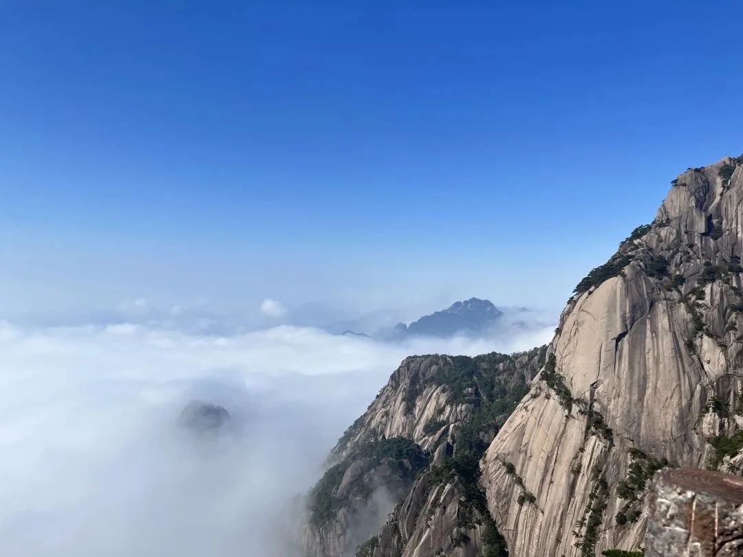 東方龍商務與春天有個約會！集團100余人赴安徽黃山“團建”，太嗨了！“奔跑二季度”——我們準備好了！