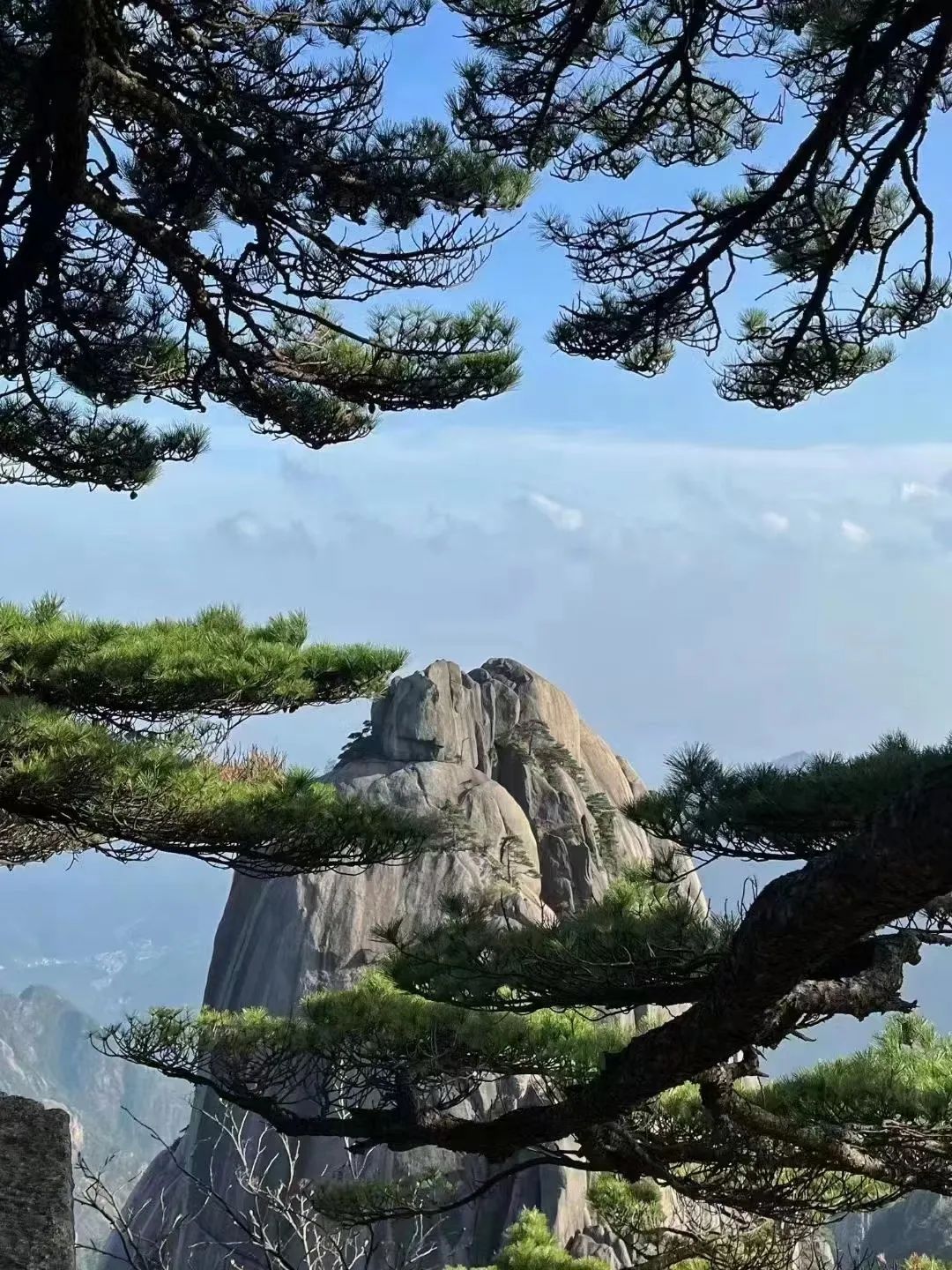 東方龍商務與春天有個約會！集團100余人赴安徽黃山“團建”，太嗨了！“奔跑二季度”——我們準備好了！