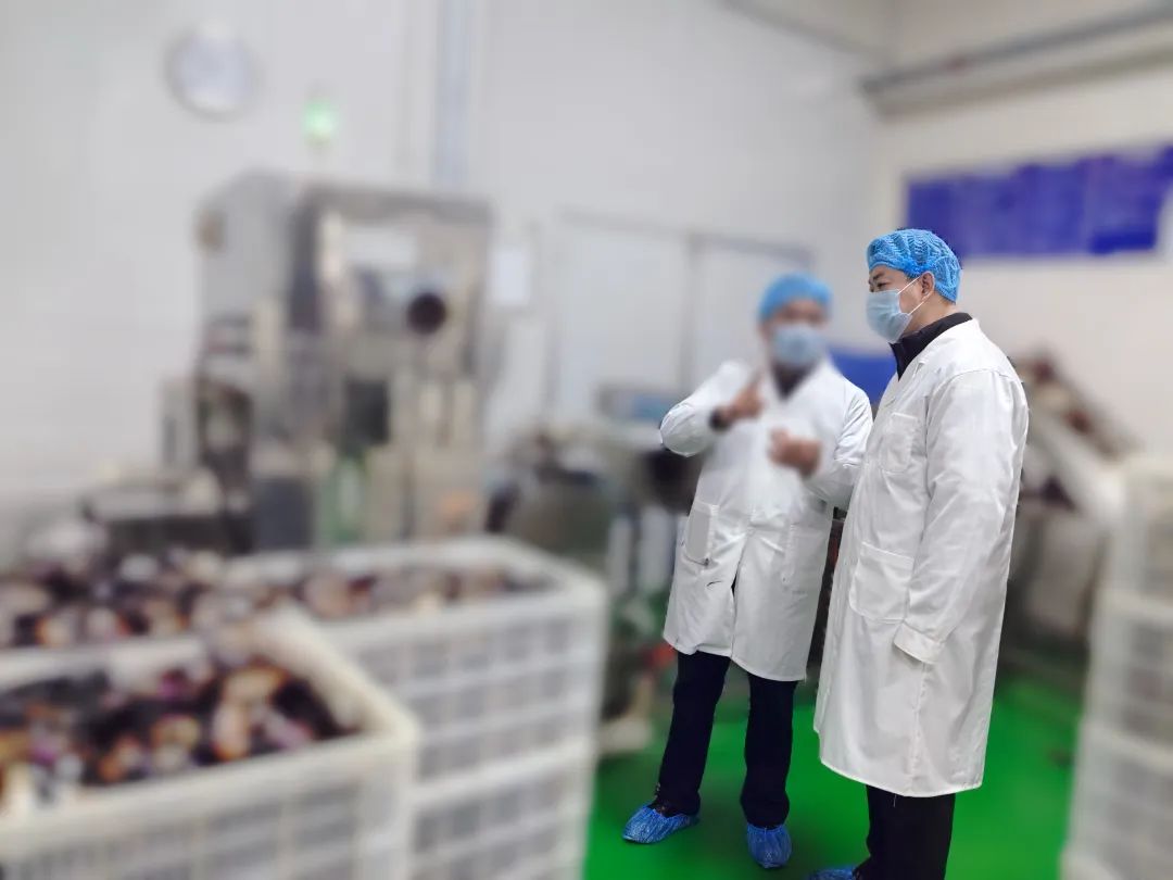 20年老牌企業(yè)，多家知名連鎖品牌合作商！四川某地方政府實地對接品牌休閑食品擴建投資選址項目